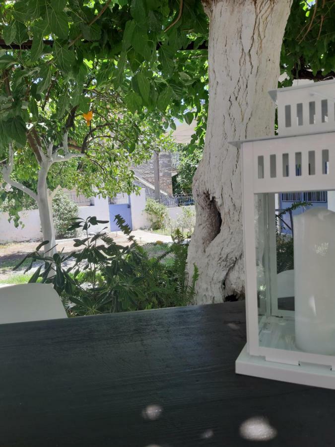 קרדמילי Villa Avli מראה חיצוני תמונה