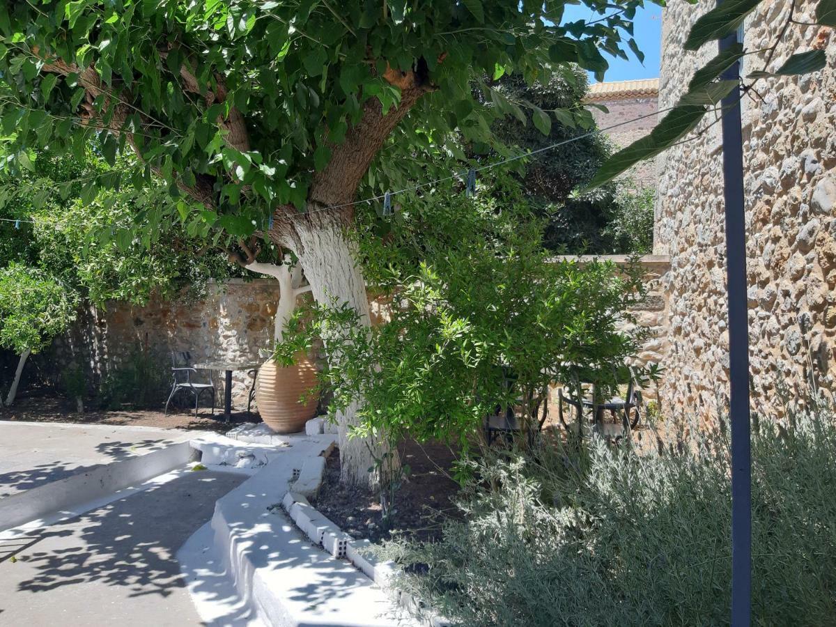 קרדמילי Villa Avli מראה חיצוני תמונה